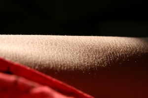 Soften your skin this winter! photo credit: quinn.anya via photopin cc