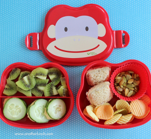 What do you pack your kids for lunch? Veggies, fruit and a sandwich are a must!