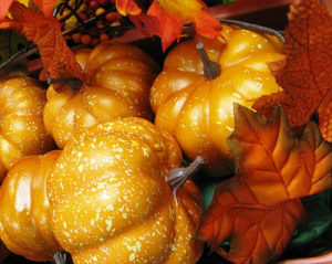 Colorful seasonal vegetables are a great way to eat healthier this thanksgiving! 