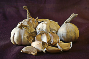 Garlic is a great prebiotic food.